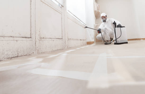24/7 Emergency Commercial Mold Remediation experts in Belleville, MI