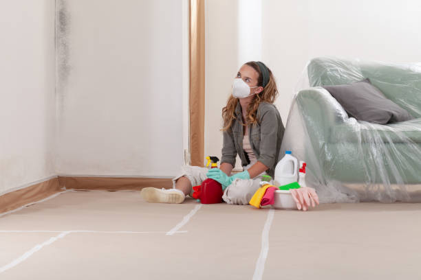 Reliable Commercial Mold Remediation contractor in Belleville, MI by WQB Mold Removal